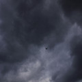 3786-3.jpg
