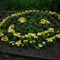 3788-3.jpg