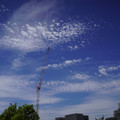 3791-1.jpg