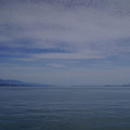 3791-2.jpg