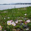 3793-1.jpg