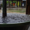 3795-1.jpg