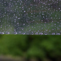 3795-2.jpg