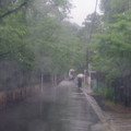 3799-1.jpg