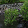 3800-3.jpg