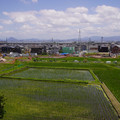 3802-1.jpg