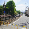 3802-2.jpg