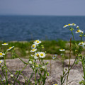 3805-2.jpg