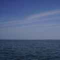 3805-3.jpg
