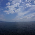 3806-1.jpg