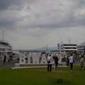 3807-1.jpg