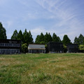 3816-3.jpg