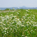 3822-3.jpg