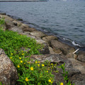3823-2.jpg