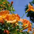 3824-1.jpg