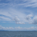 3826-1.jpg