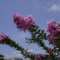 3831-2.jpg