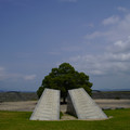 3831-3.jpg
