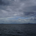 3833-1.jpg