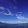 3836-3.jpg