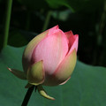 3837-2.jpg