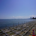 3839-3.jpg
