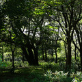 3840-1.jpg