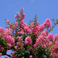 3840-3.jpg