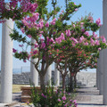 3846-2.jpg