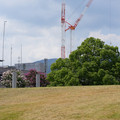 3847-1.jpg