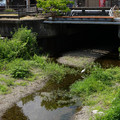 3847-2.jpg