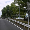 3848-2.jpg