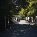 3848-3.jpg
