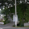3851-2.jpg