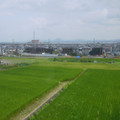 3851-3.jpg