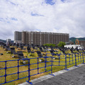 3853-1.jpg