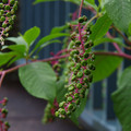 3857-1.jpg
