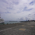 3859-3.jpg