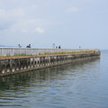 3860-1.jpg