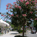 3864-1.jpg