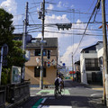 3865-3.jpg