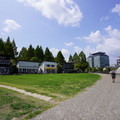 3866-3.jpg