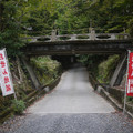 3869-1.jpg