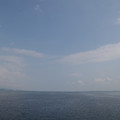 3871-1.jpg