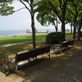 3871-2.jpg