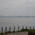 3873-1.jpg