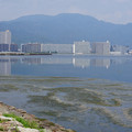 3875-3.jpg