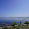 3877-2.jpg