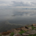3881-1.jpg