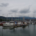 3881-2.jpg